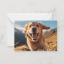 Search for dog note cards Golden retriever