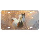 Search for horse license plates Animals