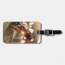 Search for motorcycle luggage tags Dirt bike