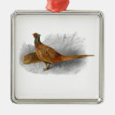 Search for pheasant ornaments Hunting