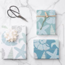 Search for turtle wrapping paper Seashell