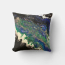 Search for black and teal pillows White