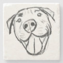 Search for dog coasters Pitbull