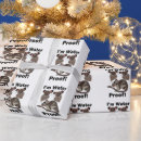 Search for opossum wrapping paper Wildlife