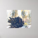 Search for tree roots canvas prints Winter