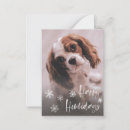 Search for pet sitters christmas cards Veterinarian