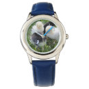 Search for chicken watches Birds