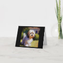 Search for havanese dog cards Animal