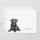 Search for labrador note cards Dogs