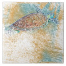 Search for sea turtle tiles Beach house