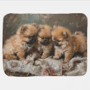 Search for pomeranian blankets Puppy