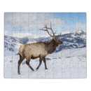 Search for yellowstone national park puzzles Danita delimont