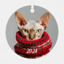 Search for sphynx cat ornaments Kitten