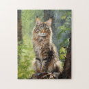 Search for maine coon cat puzzles Feline