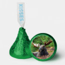 Search for moose favors Wildlife