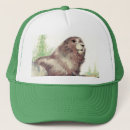 Search for cute hats Nature