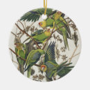 Search for bird ornaments Illustration