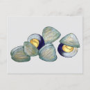 Search for new england postcards Rhode island