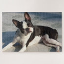 Search for boston terrier puzzles Canine