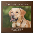 Search for memorial tiles Dog