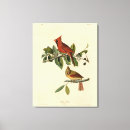 Search for cardinal painting canvas prints Bird