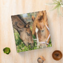 Search for horse binders Stable