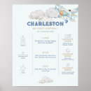 Search for airplane birthday posters Clouds