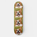 Search for doggies skateboards Dogs