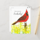 Search for address location postcards We've moved