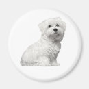 Search for maltese dog gifts Pet