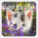 Search for happy birthday flowers stickers Girl