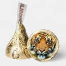 Search for tiger favors Party