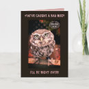 Search for get well soon owl Birds