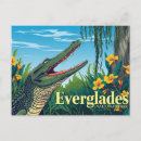 Search for vintage alligator postcards Swamp