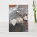 Search for golden retriever mothers day cards Puppy