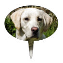 Search for labrador cake toppers Cute