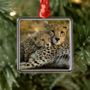 Search for cheetah ornaments Cubs