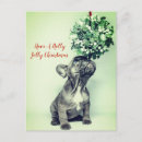 Search for dog christmas cards Green