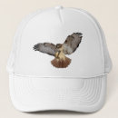 Search for bird baseball hats Raptor
