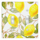 Search for ceramic light switch covers Decorative
