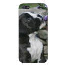 Search for dog cases Boxer