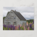 Search for prince edward island postcards Scenic