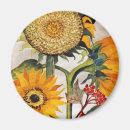 Search for sunflower seeds gifts Nature
