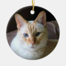 Search for feline ornaments kitty