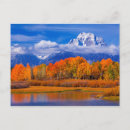 Search for anniversary state postcards Wyoming