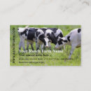 Search for dairy milk business cards Holstein