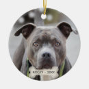 Search for pit bull ornaments pet