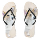 Search for corgi shoes Pembroke welsh corgi