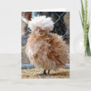 Search for funny chicken get well cards Sick