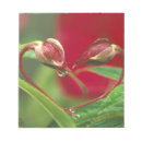 Search for heart shaped notepads Flower